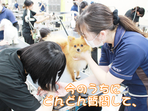 １年生、カットもがんばっています！